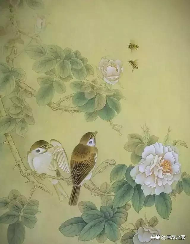 陈松岩工笔白描画全集,陈松岩工笔国画