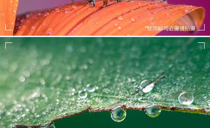 70-200f4能拍啥,70200套件安装视频