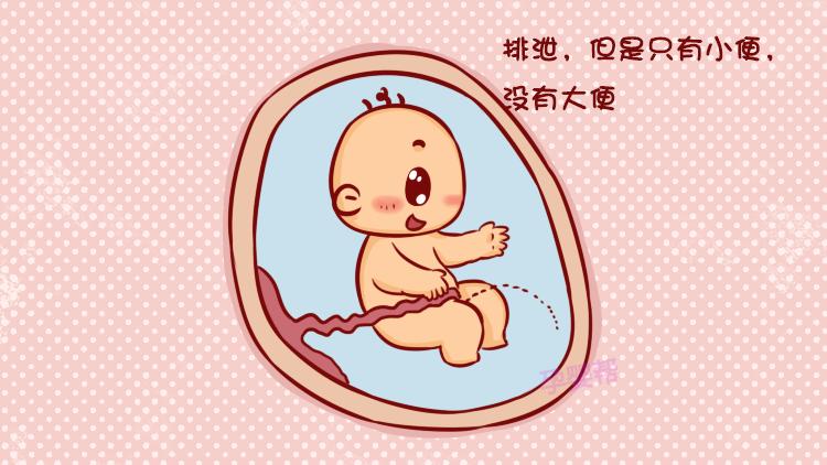 怀孕期间羊水是怎么样的,孕期羊水是怎么来的