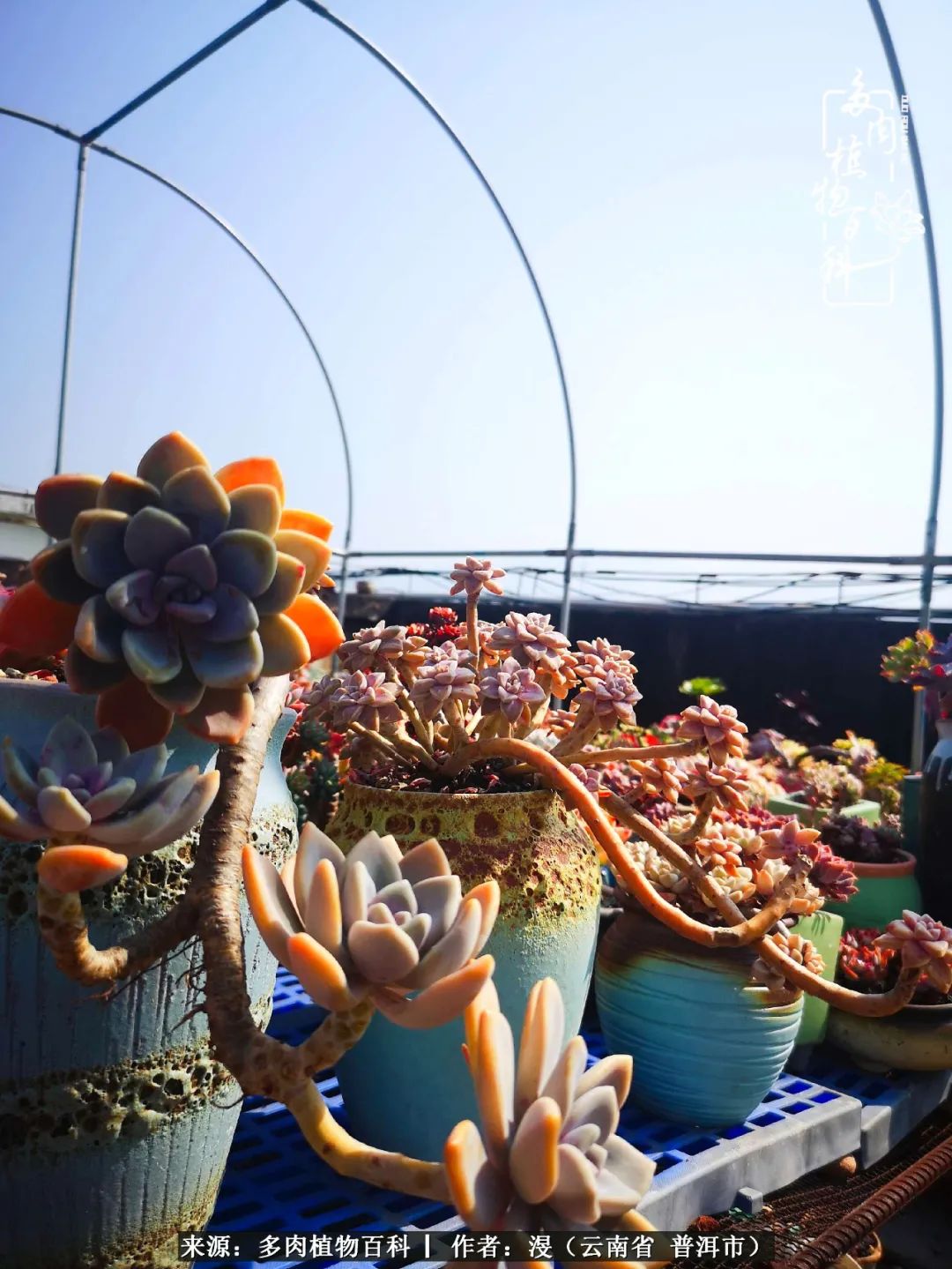 风过留痕讲的啥,风过留痕朗诵