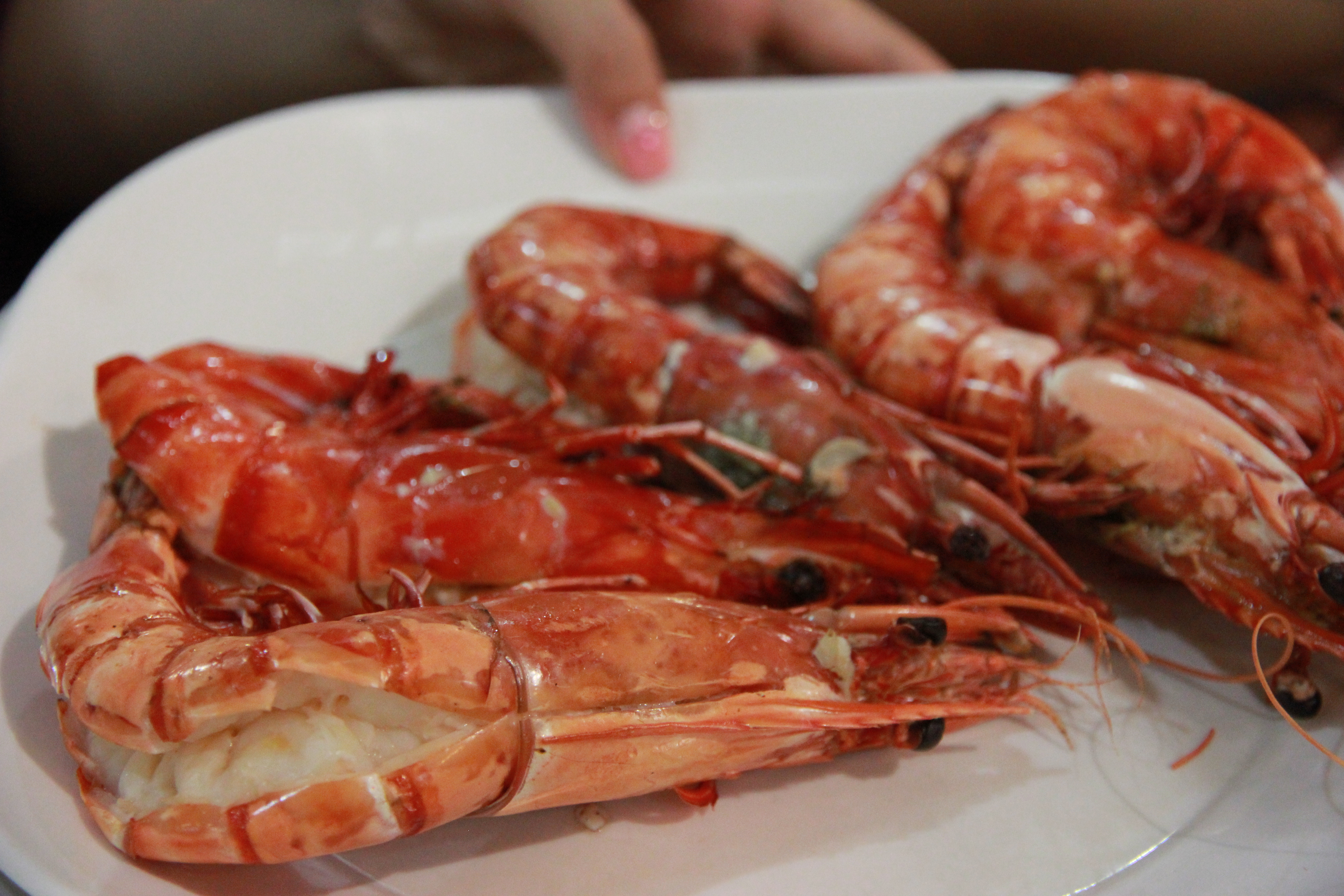 在普吉岛浮潜拍到的美妙海底世界 (普吉岛cape panwa hotel浮潜)