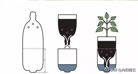 出差自制浇水神器,出外旅游自制浇花神器