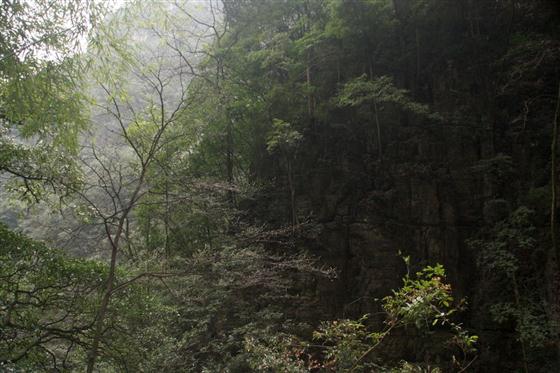 神龙峡：幽谷深深隐桃源