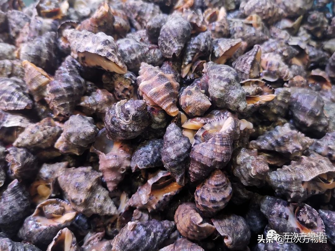 青岛海鲜市场价格表今日,青岛哪个农贸市场海鲜最便宜又好