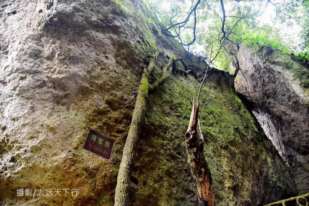 悠然三明：梅列瑞云山为佛，葡萄美酒配熏鸭