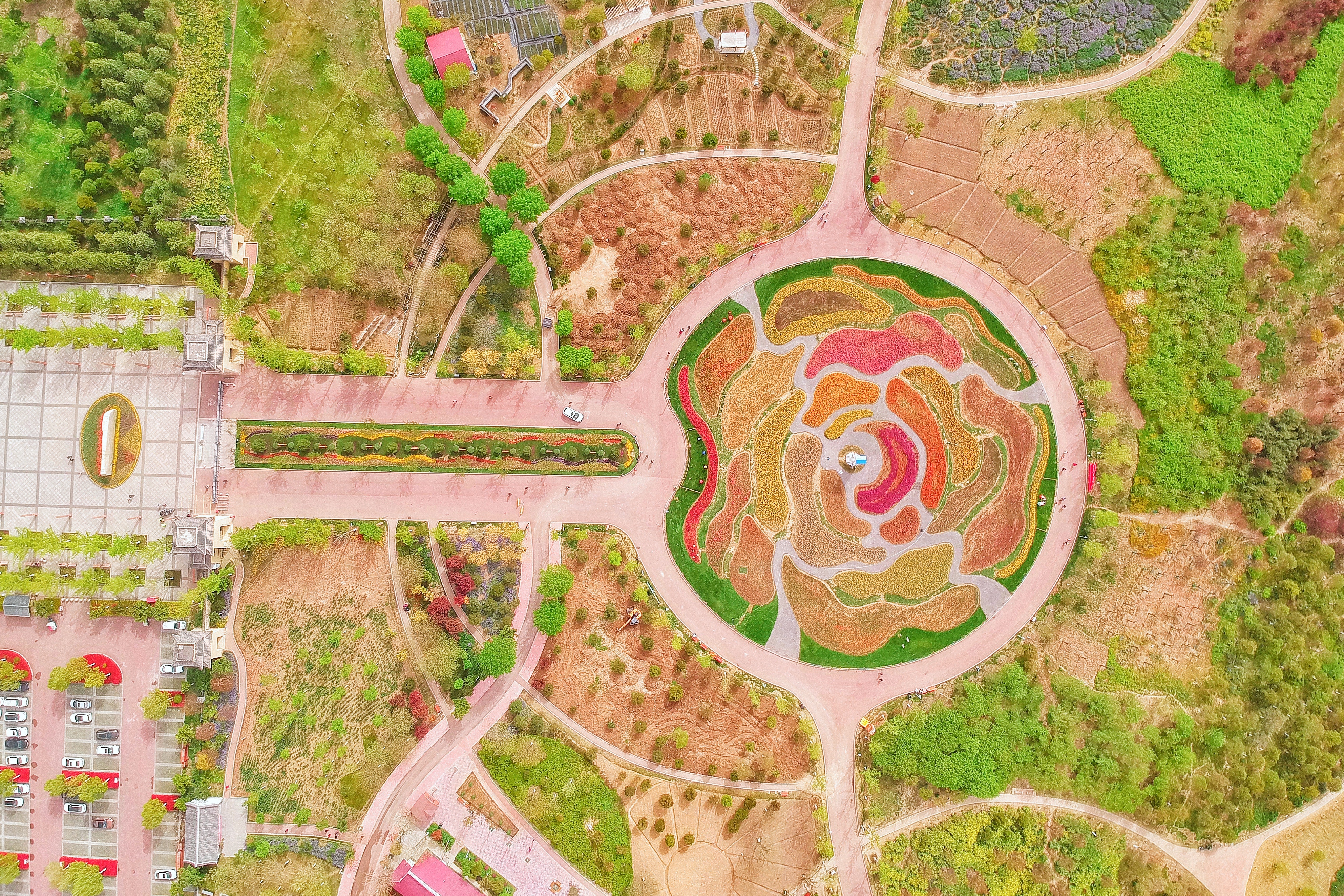 我和宿州有个约会,一场花事,一次慢旅行,探寻最烟火的宿州味道