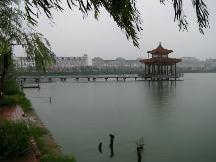 曹县实际情况,曹县的基本信息