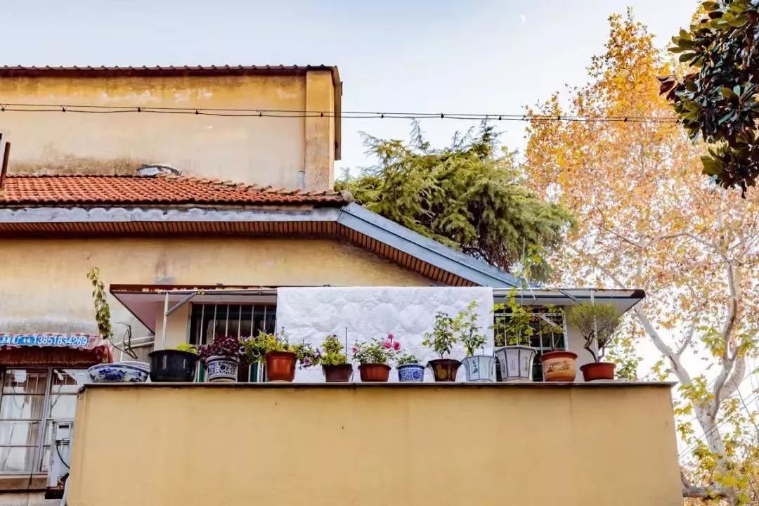 南京值得去生活吗,在南京生活15年的感受