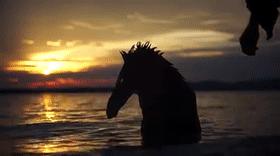 这个男人拍的漫画剪影，小孩看笑了，大人却哭了......