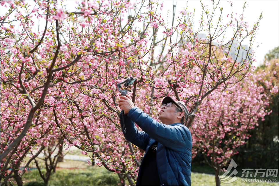 冬日暖阳黄兴公园的美景,公园黄兴公园