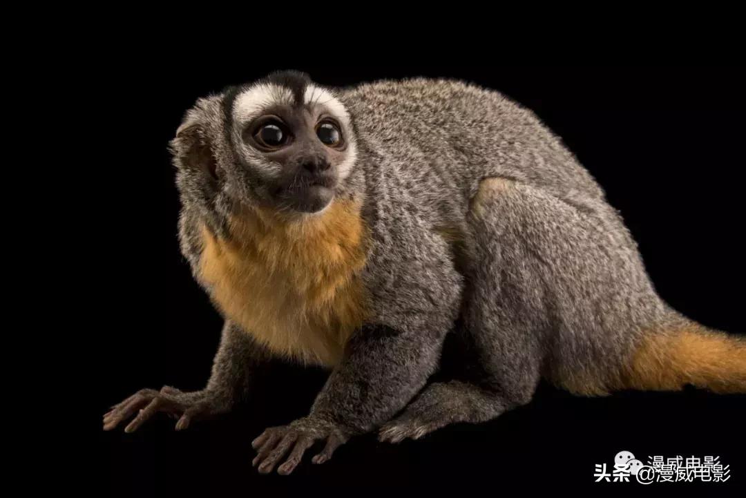 蜘蛛侠2英雄远征第二个彩蛋,蜘蛛侠英雄远征彩蛋什么意思