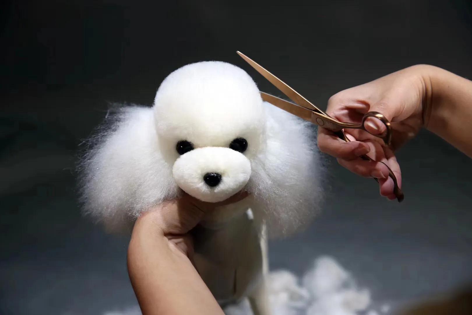 带你了解宠物医院,宠物医疗行业发展前景