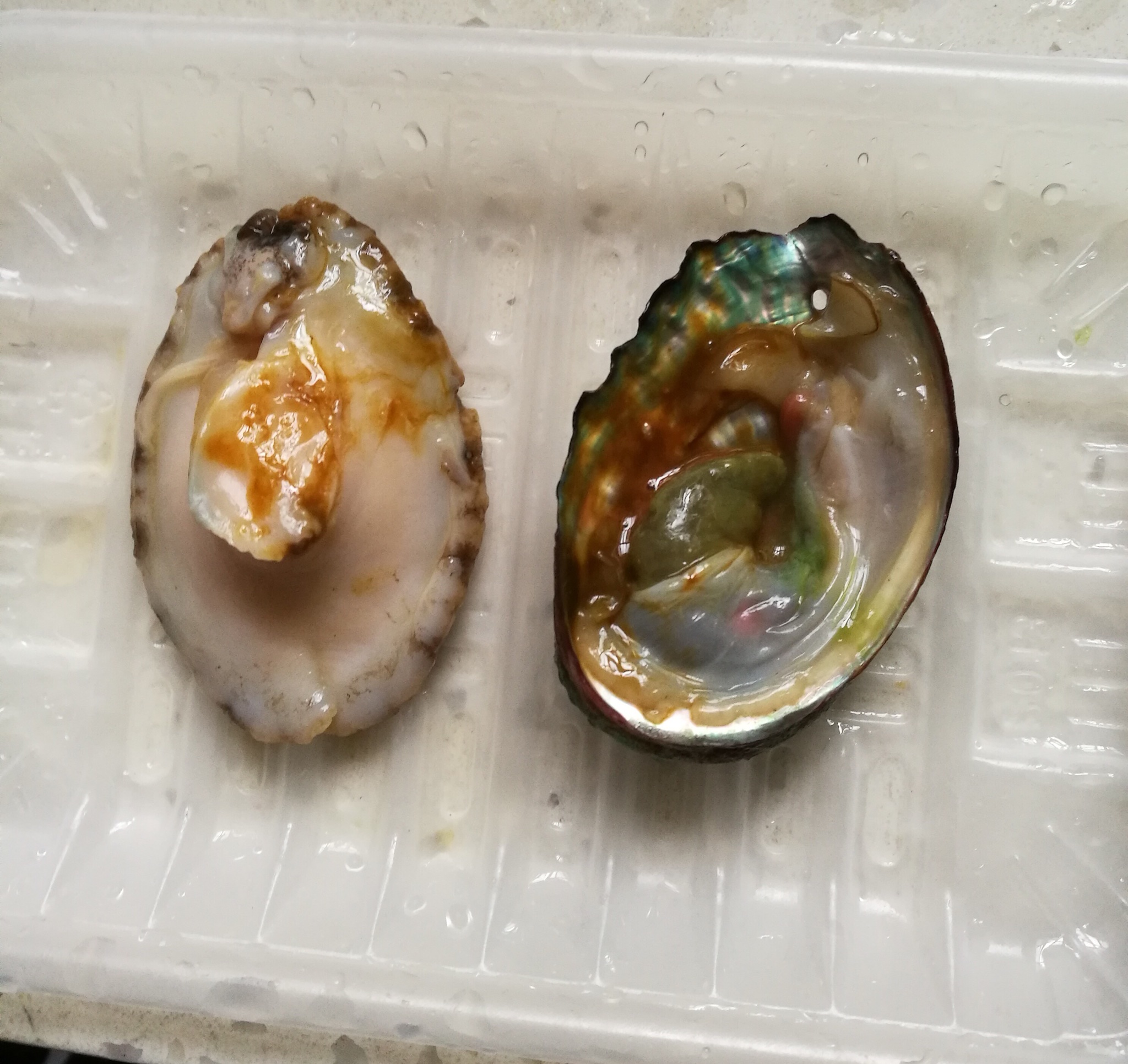 红烧鲍鱼最正宗的做法视频王刚,怎样做红烧鲍鱼又嫩又好吃