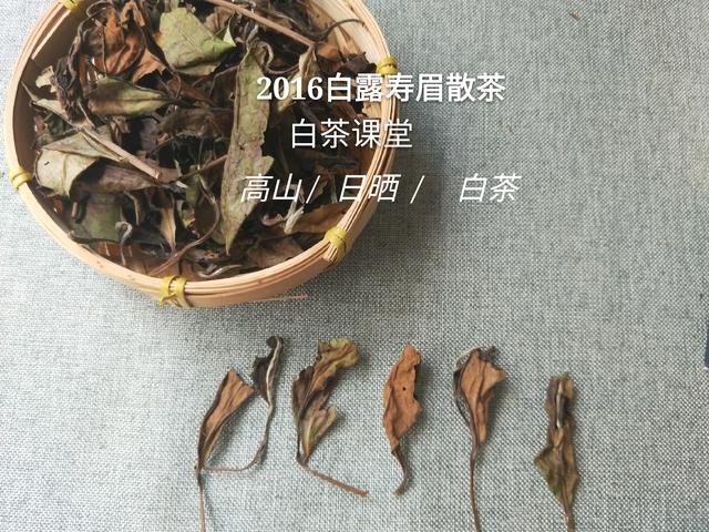 收藏白茶茶饼和散茶哪个更好,白茶散茶储存方法视频