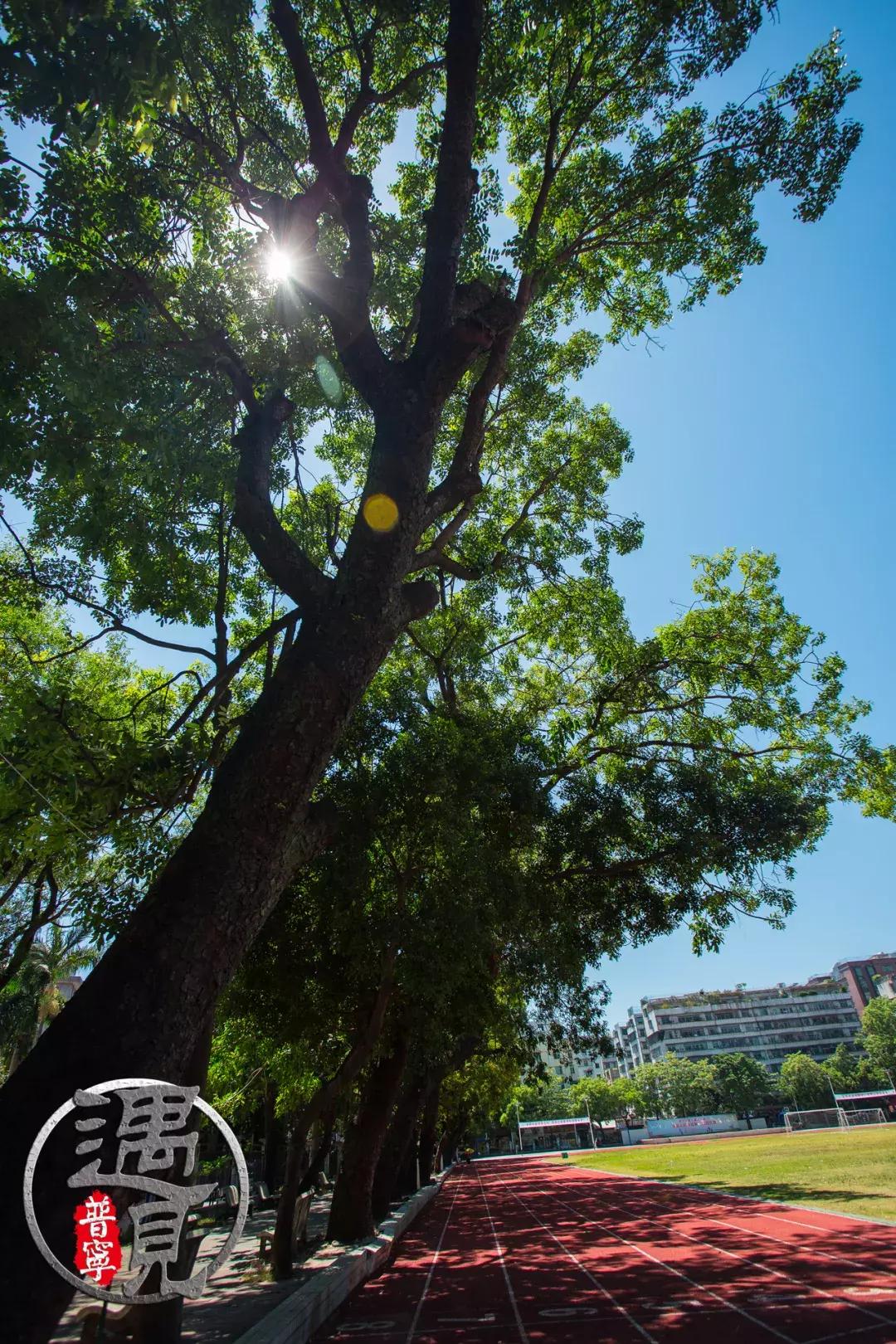普宁二中操场改造,普宁流沙中华新城旧貌