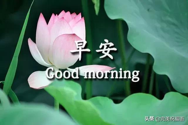 早安手机短信,发给朋友早上好短信