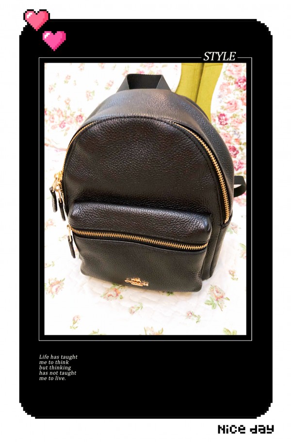 小包搭配图片大全中年人,比较经典百搭的小包款式