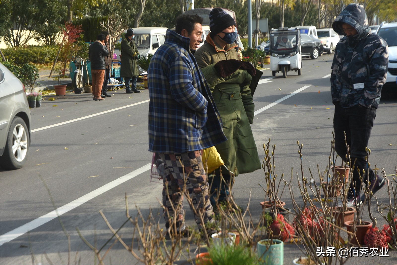 农民转行做什么,如何做地摊花卉生意