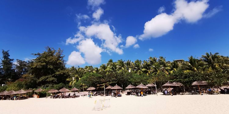 三亚红树林有亲子活动,三亚红树林和海韵