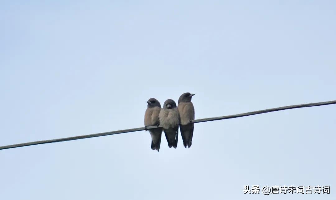 春天的样子原唱完整版,春天的样子是什么