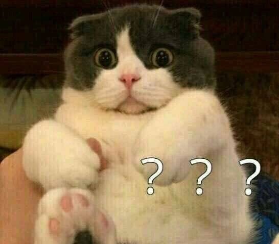 昆明寄快递到临沧中途寄丢，客服回应称被飞车*党***锁撬**，要求看接警单为何拒不出示？