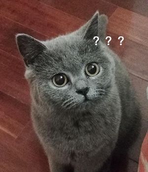 楼上的人把能给楼下捣的乱都捣了个遍,把卫生间的臭味、烟往楼下排,我该如何要求楼上赔偿?