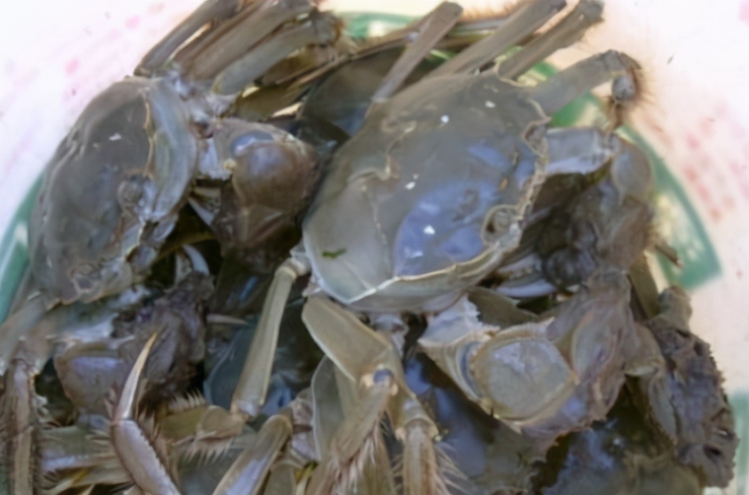 蒸螃蟹用冷水还是热水,蒸螃蟹用水还是热水好