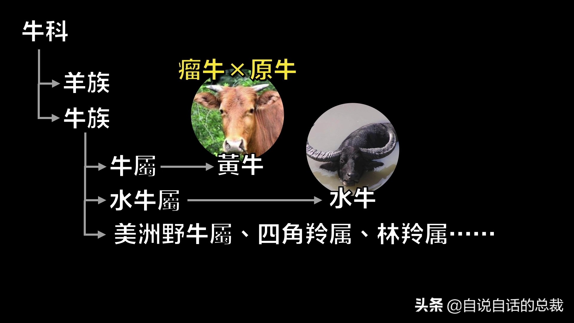 阿努纳奇创造人类7次文明,阿努纳奇人类起源