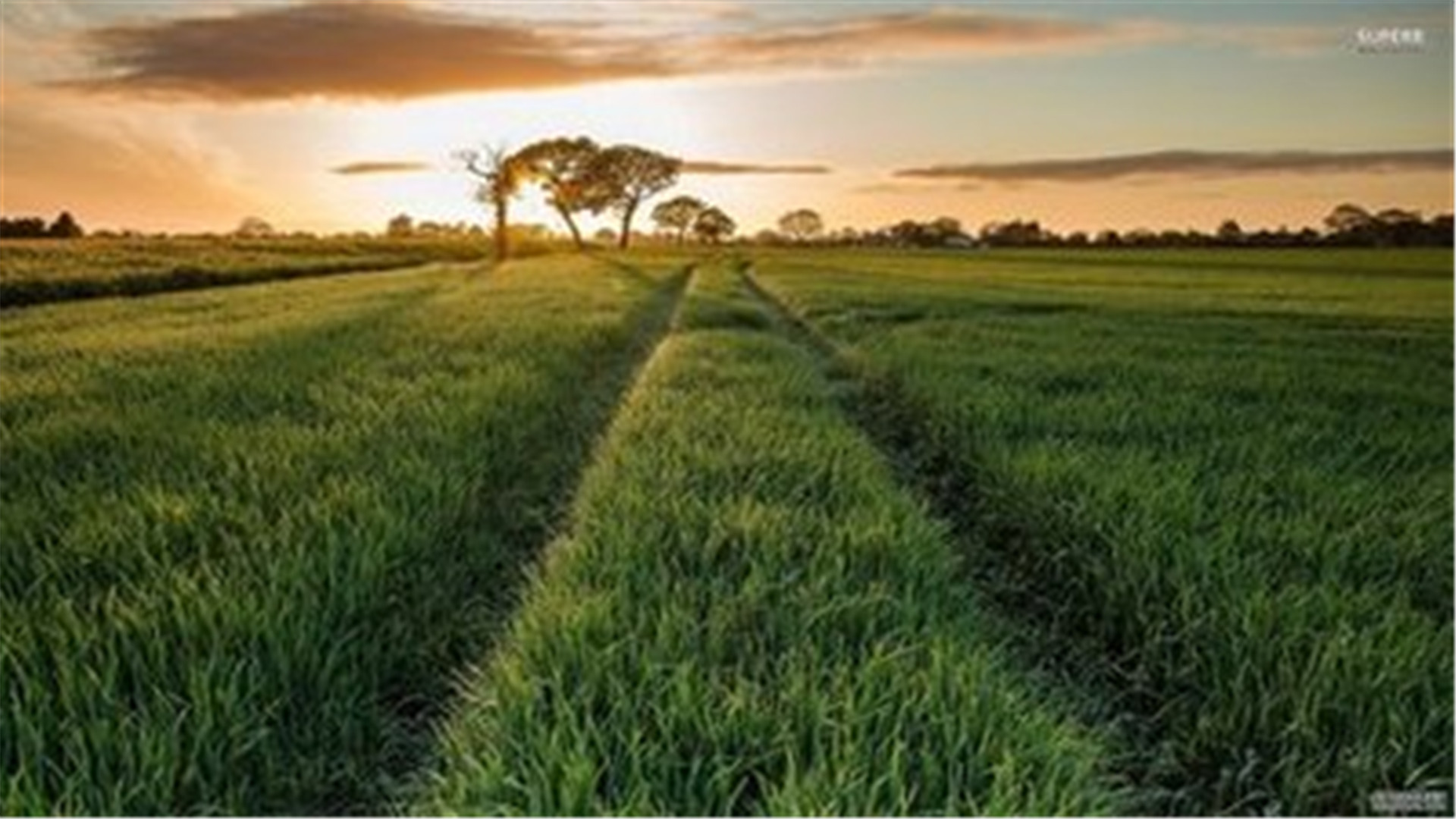 蓝色护眼壁纸唯美图片,最美的护眼桌面壁纸