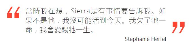 哈士奇雪橇犬故事,哈士奇雪橇犬感人一幕