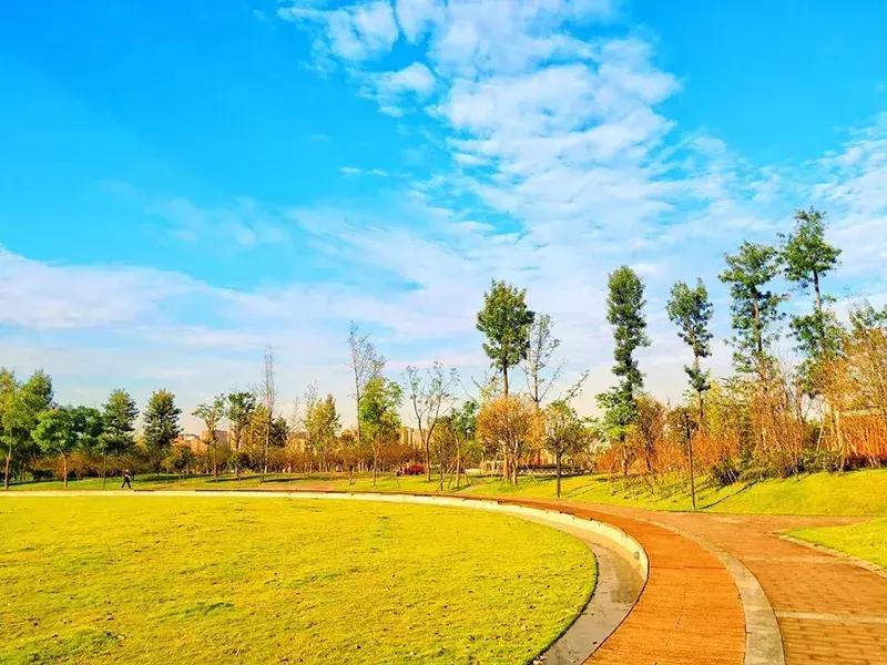 成都双流绿道,双流区绿道建设