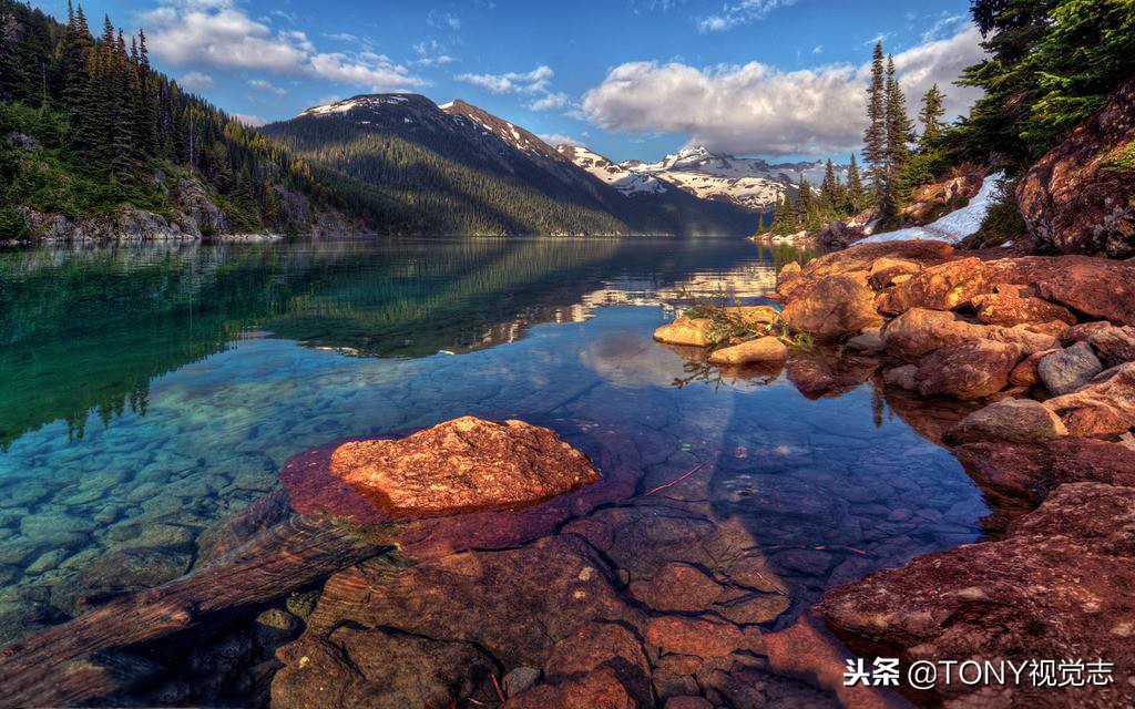 佳能尼康全幅单反相机推荐,佳能和尼康入门级单反推荐