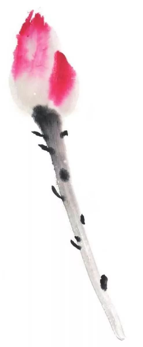 白描荷花100幅画法,荷花的画法白描图