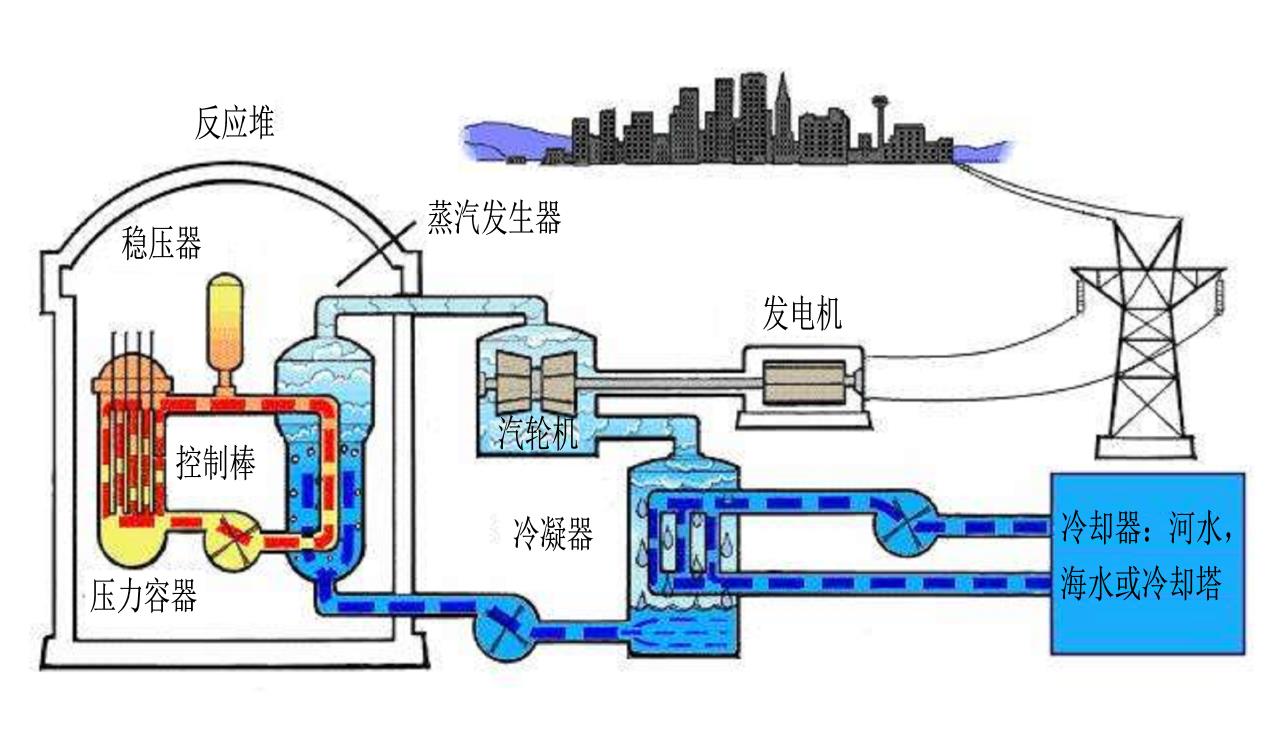世界五大学习方法之跨界学习法（思维网之正反馈）