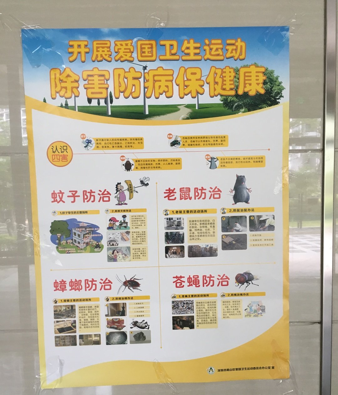 登革热可以传染给宠物吗,登革热蚊子能活多久