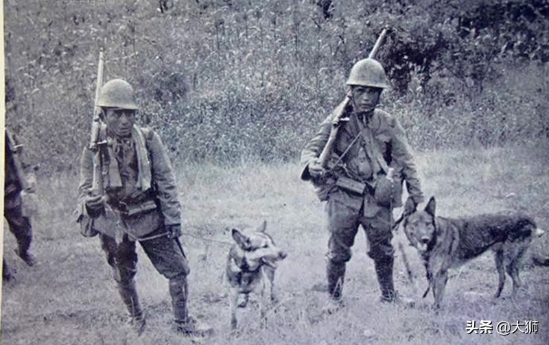 鏃ュ啗淇樿檹鍙ｄ緵,鏃ュ啗鎴樼姱鍙ｄ緵