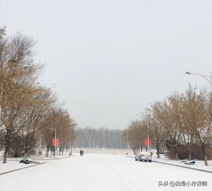 沈阳化工大学-是一所综合性大学化工为主