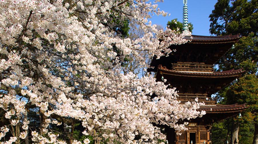 酒店也有“御花园”，住到里面赛神仙
