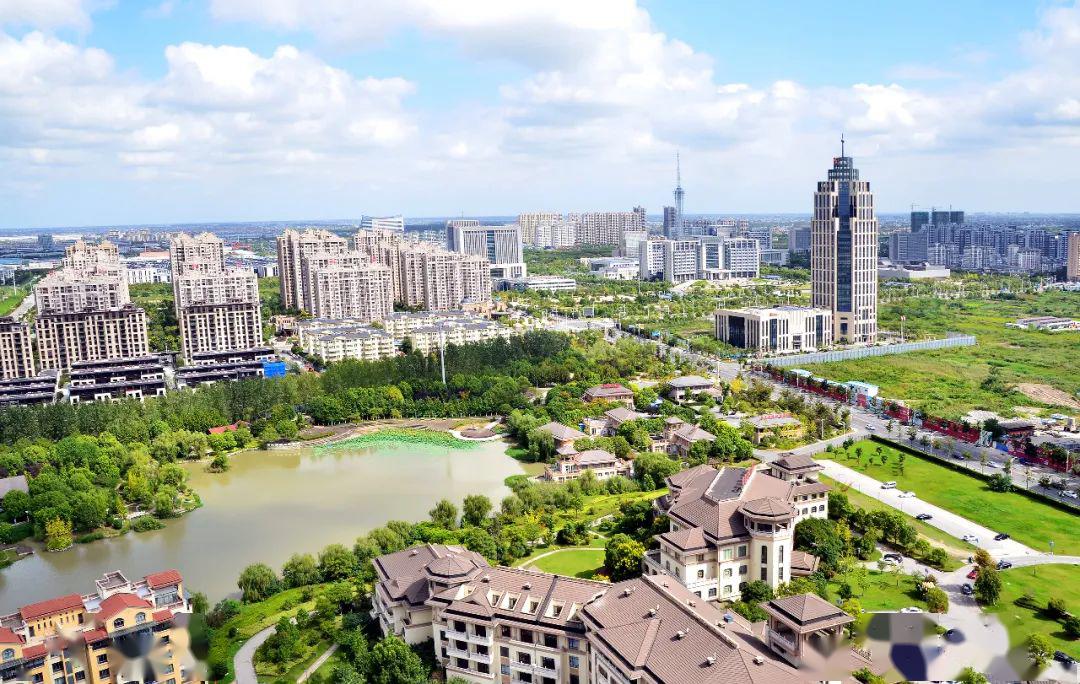 南通梭子蟹特产,江苏南通港梭子蟹