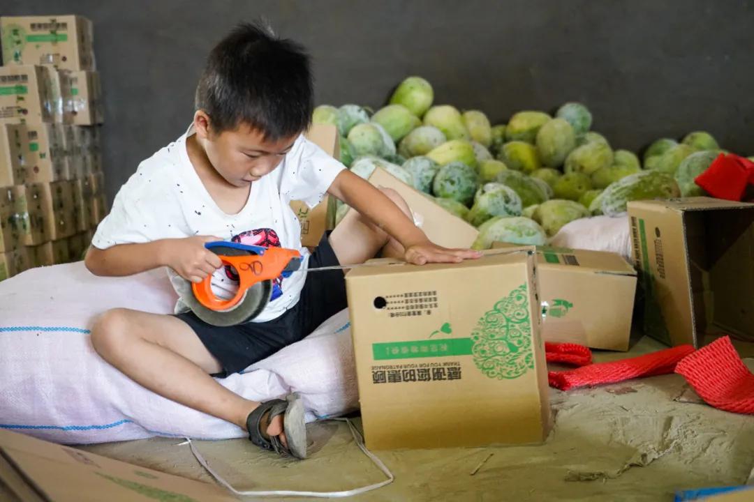 50斤洋葱能卖多少钱,洋葱最便宜多少钱一斤