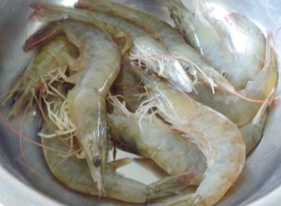 大虾储存为什么用瓶子,塑料瓶保存大虾的方法