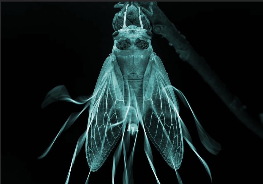 photoshop有哪些主要功能,photoshop有什么好玩的