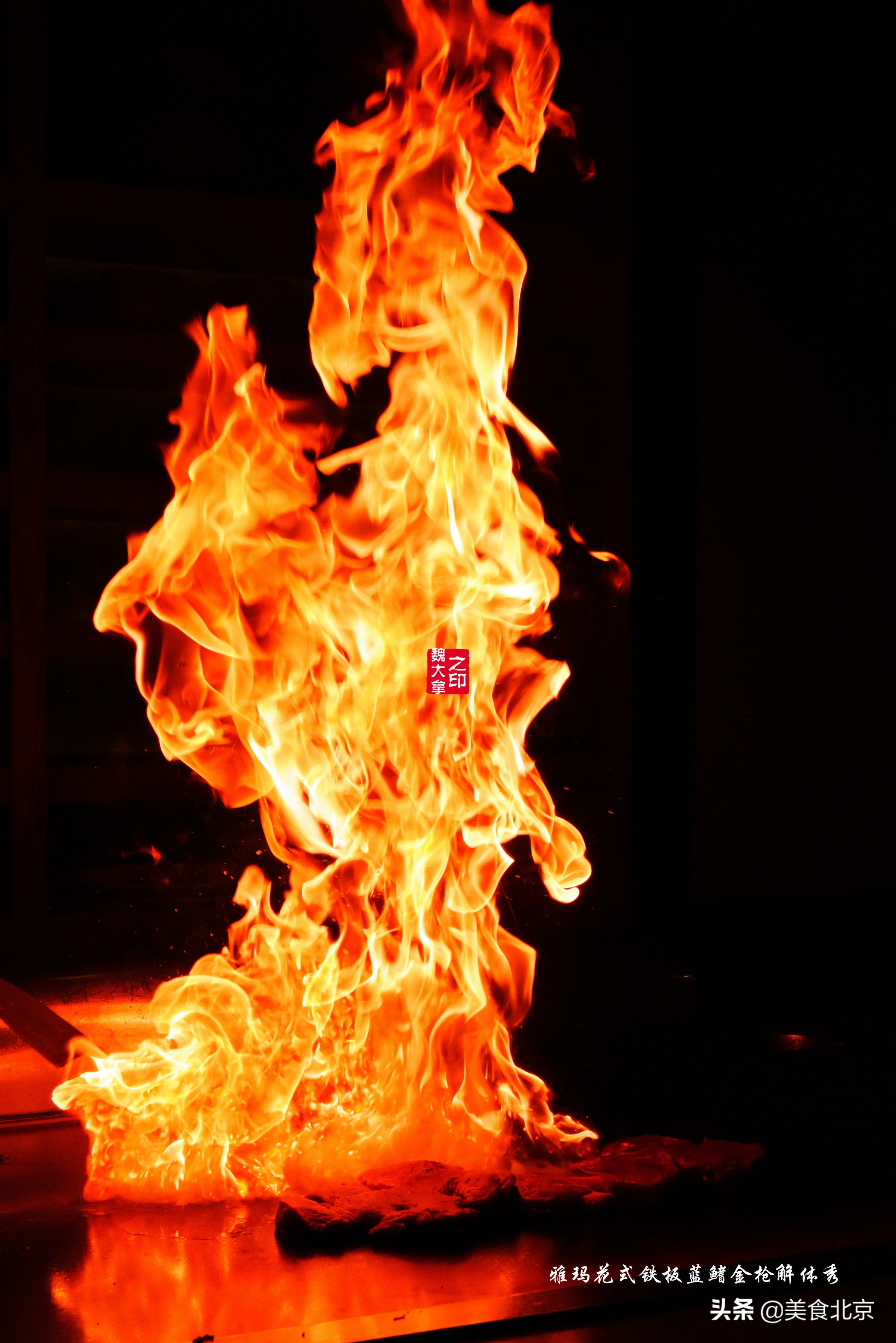 蓝鳍金枪鱼开鱼秀,深海捕蓝鳍金枪鱼