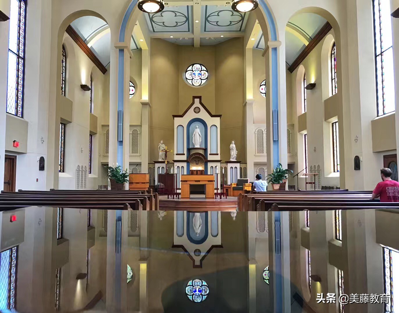 圣路易斯华盛顿大学怎么样,圣路易斯华盛顿大学最新政策