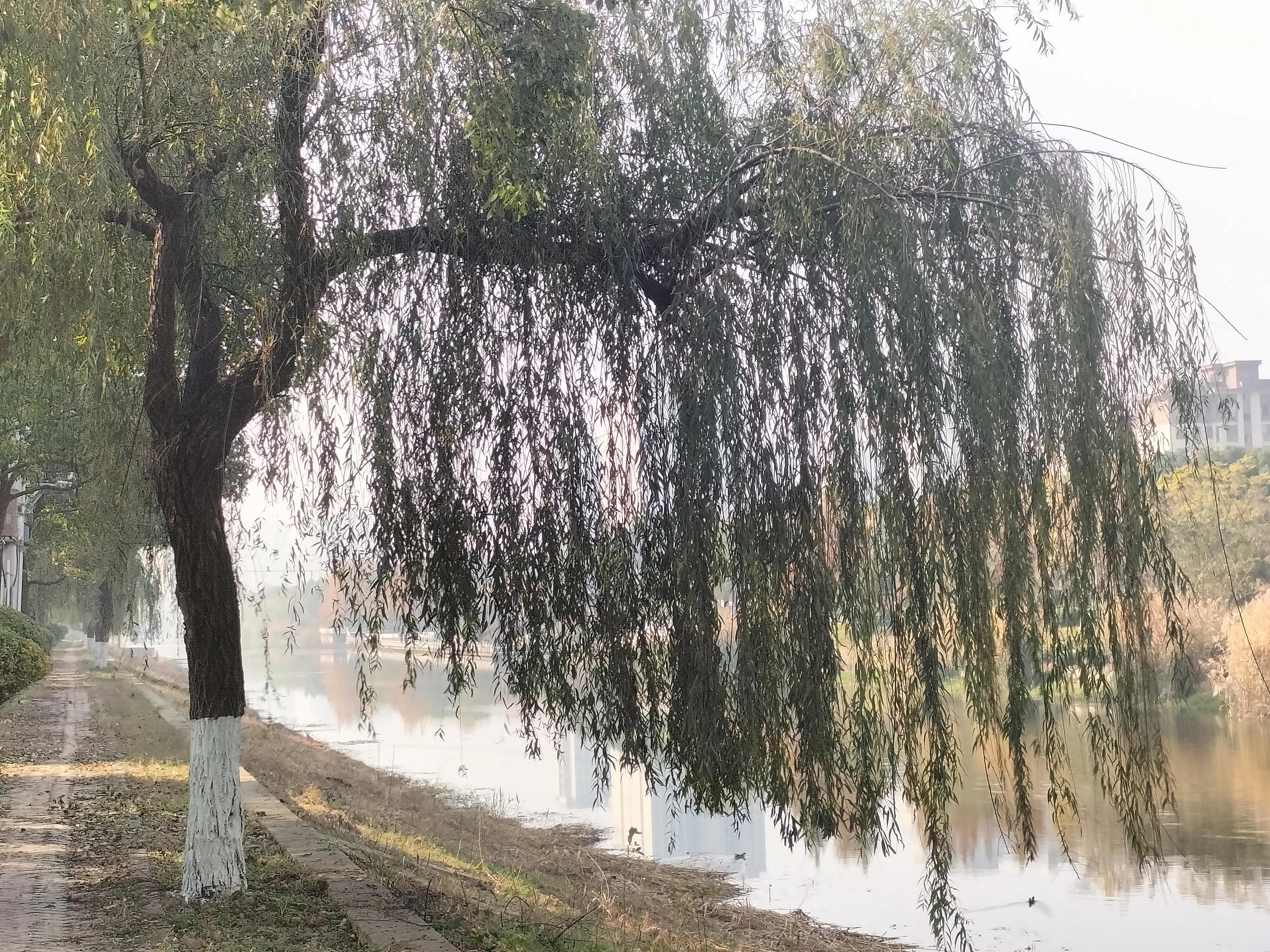 创业成功人士必备能力,创业人必须具备的能力