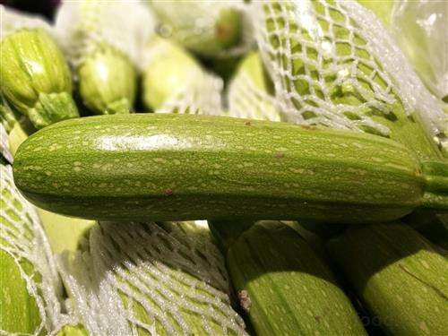 西葫芦营养师,西葫芦的营养有哪些