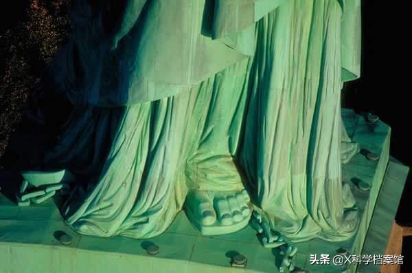 让你大开眼界的生物视频,大开眼界的新物种