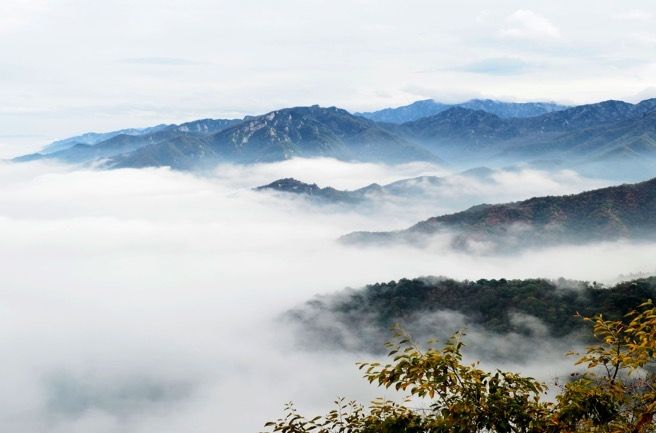 诗佛的十首五言诗，诗中有画，意境高远，风靡了千年