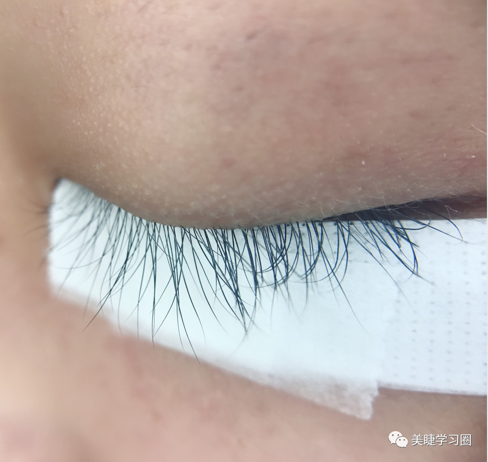 为什么嫁接睫毛不整齐还乱,为什么你嫁接的睫毛容易脱落