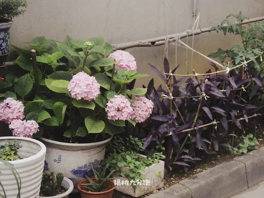 王宝强吃面道士下山,道士下山吃面图片